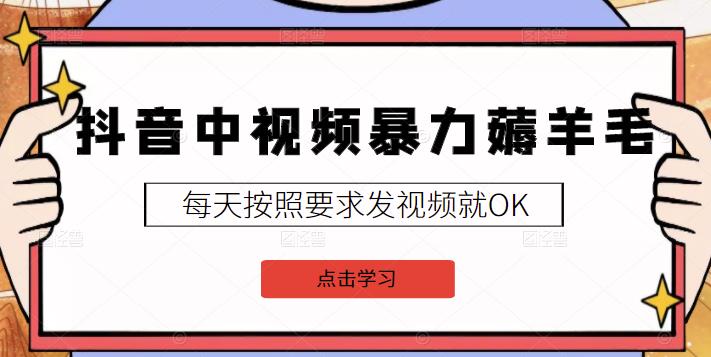 2022抖音中视频暴力薅羊毛白嫖项目：新号每天20块，老号几天几百块，可多号￼ - 小毅网创-小毅网创