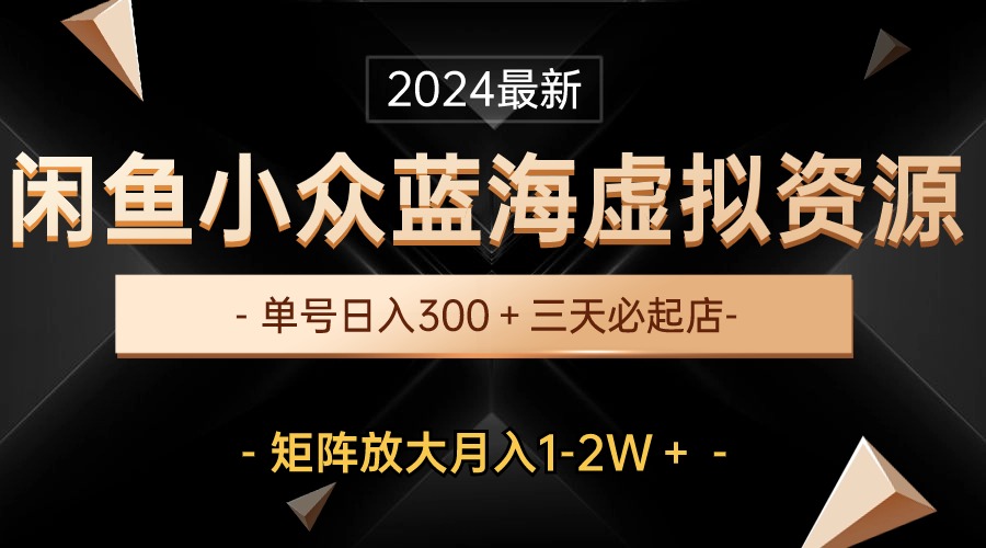 （10336期）最新闲鱼小众蓝海虚拟资源，单号日入300＋，三天必起店，矩阵放大月入1-2W - 小毅网创-小毅网创