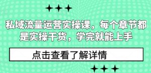 私域流量运营实操课，每个章节都是实操干货，学完就能上手-小毅网创