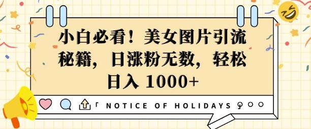 小白必看，美女图片引流秘籍，日涨粉无数，轻松日入几张【揭秘】 - 小毅网创-小毅网创