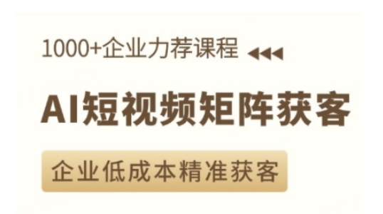 AI短视频矩阵获客实操课，企业低成本精准获客 - 小毅网创-小毅网创