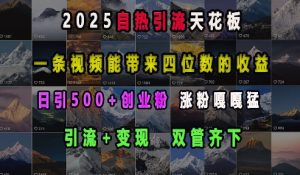 2025自热引流天花板，一条视频能带来四位数的收益，引流+变现双管齐下，日引500+创业粉，涨粉嘎嘎猛-小毅网创