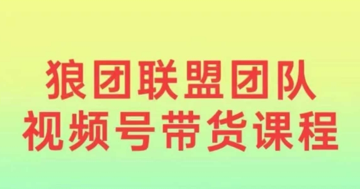 狼团联盟2024视频号带货，0基础小白快速入局视频号 - 小毅网创-小毅网创