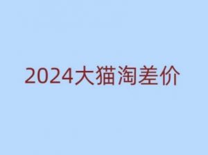 2024版大猫淘差价课程，新手也能学的无货源电商课程-小毅网创