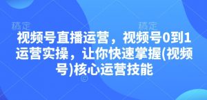 视频号直播运营，视频号0到1运营实操，让你快速掌握(视频号)核心运营技能-小毅网创