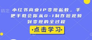 小红书商业IP变现私教，手把手教会你从0-1制作短视频到变现的全过程-小毅网创