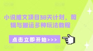 小说推文项目38天计划，剪辑与搬运多种玩法教程-小毅网创