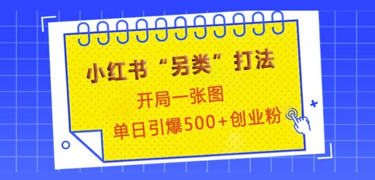 小红书“另类”打法，开局一张图，单日引爆500+精准创业粉【揭秘】 - 小毅网创-小毅网创