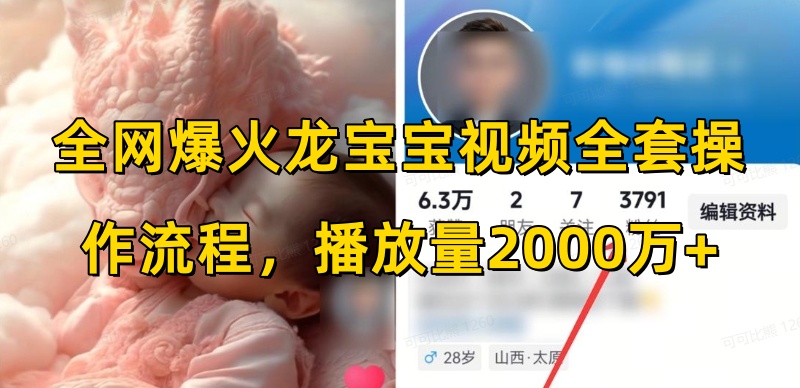 全网爆火龙宝宝视频全套操作流程，播放量2000万+ - 小毅网创-小毅网创