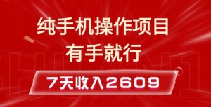 纯手机操作的小项目，有手就能做，7天收入2609+实操教程【揭秘】-小毅网创
