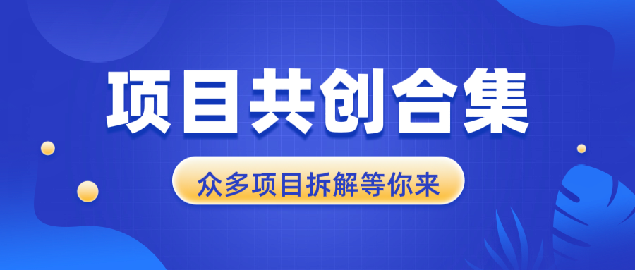 项目共创合集，从0-1全过程拆解，让你迅速找到适合自已的项目 - 小毅网创-小毅网创