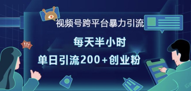 视频号跨平台暴力引流，每天半小时，单日引流200+精准创业粉 - 小毅网创-小毅网创