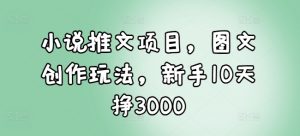 小说推文项目，图文创作玩法，新手10天挣3000-小毅网创