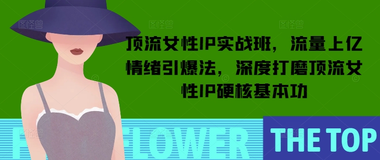 顶流女性IP实战班，流量上亿情绪引爆法，深度打磨顶流女性IP硬核基本功 - 小毅网创-小毅网创