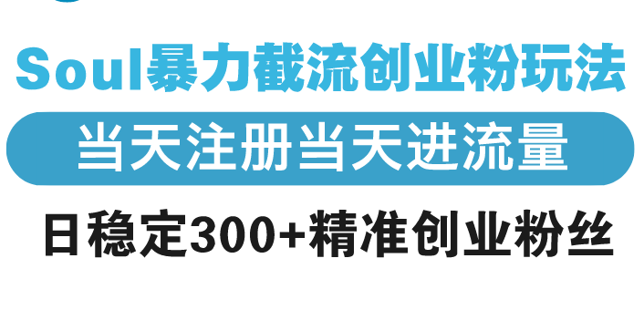 Soul暴力截流创业粉玩法，当天注册当天进流量，日稳定300+精准创业粉丝 - 小毅网创-小毅网创