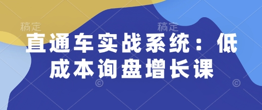 直通车实战系统：低成本询盘增长课，让个人通过技能实现升职加薪，让企业低成本获客，订单源源不断 - 小毅网创-小毅网创