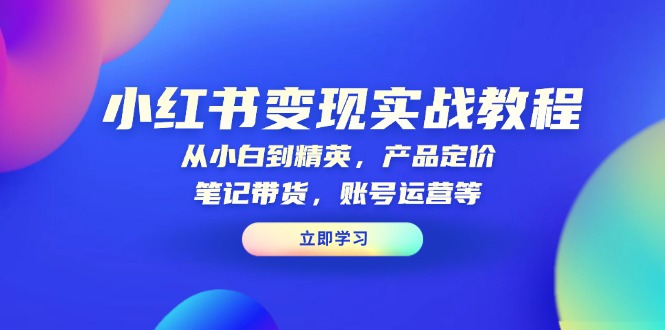 小红书变现实战教程：从小白到精英，产品定价，笔记带货，账号运营等 - 小毅网创-小毅网创