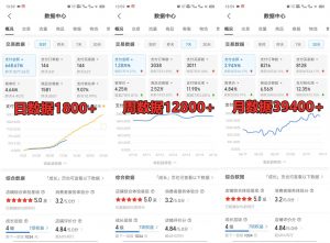 拼多多虚拟店铺项目，电脑挂机自动发货，单店日利润300+-小毅网创