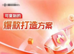 天猫电商爆款运营，可复制的爆款打造方案(线下内训课录音+字幕)-小毅网创