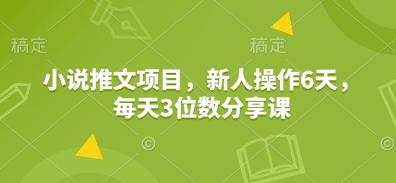 小说推文项目，新人操作6天，每天3位数分享课 - 小毅网创-小毅网创