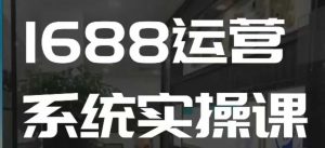 1688高阶运营系统实操课，快速掌握1688店铺运营的核心玩法-小毅网创