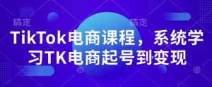 TikTok电商课程，​系统学习TK电商起号到变现-小毅网创