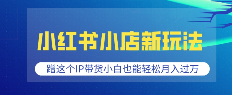 小红书小店新玩法，蹭这个IP带货，小白也能轻松月入过W【揭秘】 - 小毅网创-小毅网创