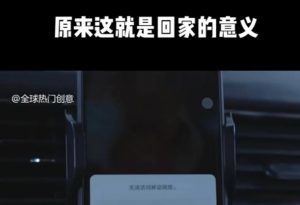 利用春节风口，制作热点视频，多种玩法类型，新手也能轻松变现！-小毅网创