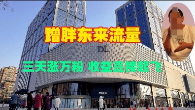 蹭胖东来流量，三天涨万粉，收益直接起飞 - 小毅网创-小毅网创