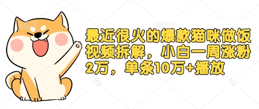 最近很火的爆款猫咪做饭视频拆解，小白一周涨粉2万，单条10万+播放(附保姆级教程) - 小毅网创-小毅网创
