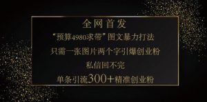 小红书神奇图片引流法，只需一张图，就能单条笔记凭借此方法，轻松引流 300 + 精准创业粉-小毅网创