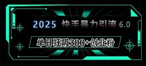 2025年快手6.0保姆级教程震撼来袭，单日狂吸300+精准创业粉-小毅网创