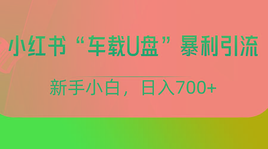 小红书“车载U盘”项目，暴利引流，新手小白轻松日入700+ - 小毅网创-小毅网创