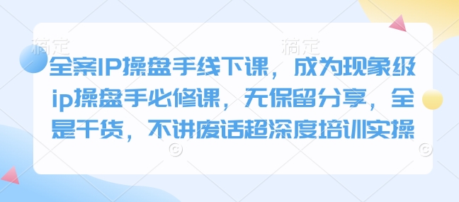全案IP操盘手线下课，成为现象级ip操盘手必修课，无保留分享，全是干货，不讲废话超深度培训实操 - 小毅网创-小毅网创