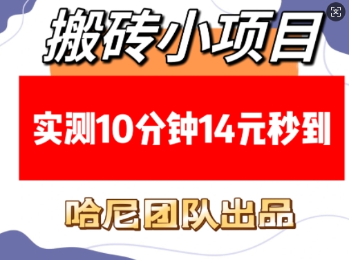 搬砖小项目，实测10分钟14元秒到，每天稳定几张(赠送必看稳定) - 小毅网创-小毅网创