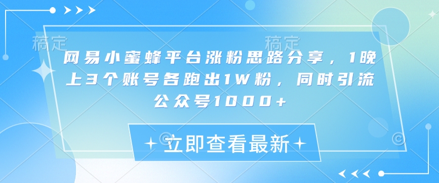 网易小蜜蜂平台涨粉思路分享，1晚上3个账号各跑出1W粉，同时引流公众号1000+ - 小毅网创-小毅网创