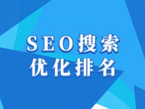 抖音搜索SEO教程，抖音SEO搜索优化排名-小毅网创