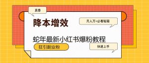 蛇年最新小红书爆粉教程，狂引副业粉，月入万+必看-小毅网创