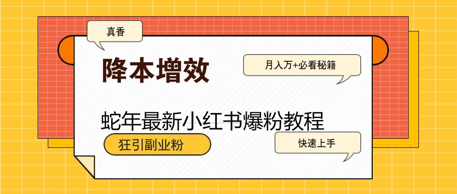 蛇年最新小红书爆粉教程，狂引副业粉，月入万+必看 - 小毅网创-小毅网创
