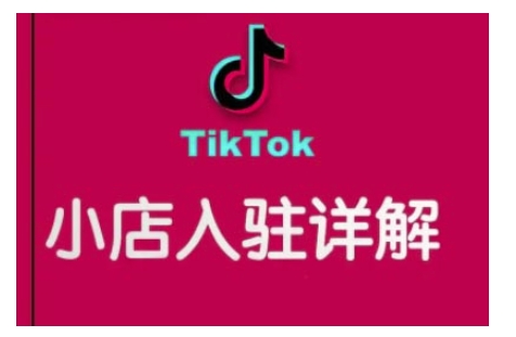 TikTok跨境小店运营全攻略，帮助你独立运营TK跨境小店的能力，实现销量增长 - 小毅网创-小毅网创