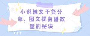 小说推文干货分享，图文提高播放量的秘诀-小毅网创