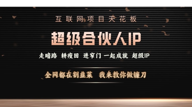 互联网项目天花板，超级合伙人IP，全网都在割韭菜，我来教你做镰刀【仅揭秘】 - 小毅网创-小毅网创