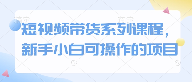 短视频带货系列课程，新手小白可操作的项目 - 小毅网创-小毅网创