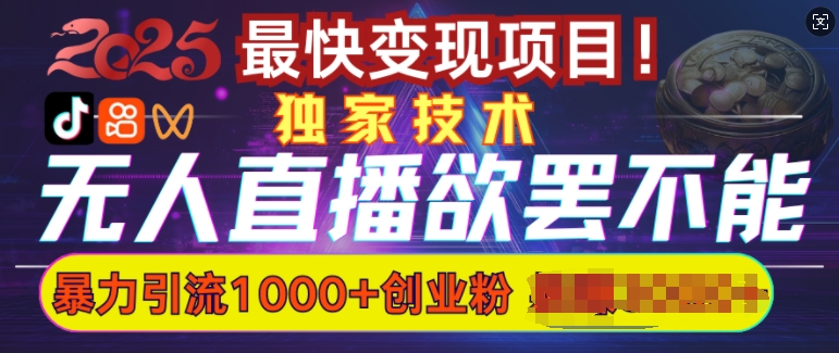 欲罢不能的无人直播引流，超暴力日引流1000+高质量精准创业粉 - 小毅网创-小毅网创
