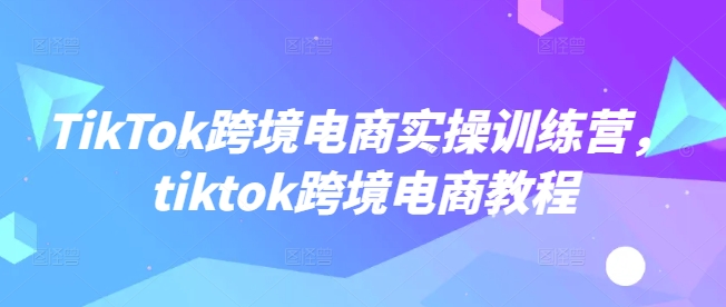 TikTok跨境电商实操训练营，tiktok跨境电商教程 - 小毅网创-小毅网创