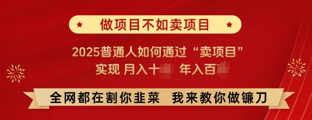 必看，做项目不如卖项目，2025普通人如何通过“卖项目”实现月入十个，年入百个 - 小毅网创-小毅网创