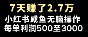 全网首发，7天赚了2.6万，2025利润超级高！-小毅网创