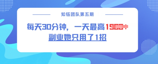 副业她只用了1招，每天30分钟，无脑二创，一天最高1.5k - 小毅网创-小毅网创