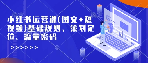 小红书运营课(图文+短视频)基础规则、策划定位、流量密码 - 小毅网创-小毅网创