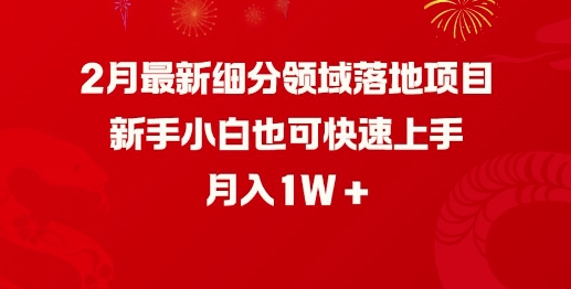 2月最新细分领域落地项目，新手小白也可快速上手，月入1W - 小毅网创-小毅网创